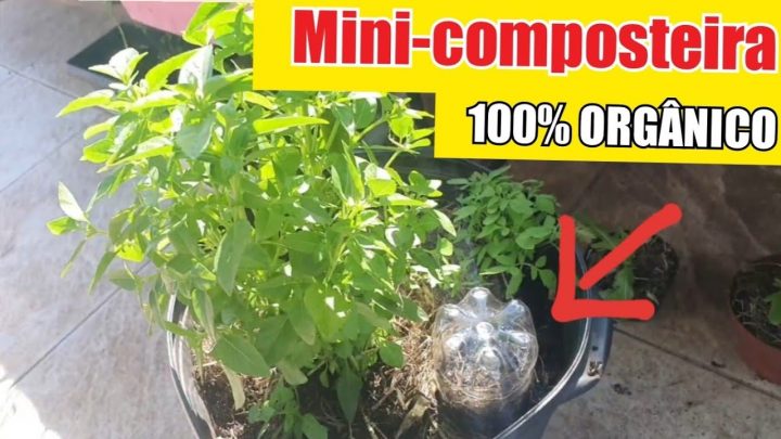 Como Fazer Uma Mini Composteira Caseira Para Plantas