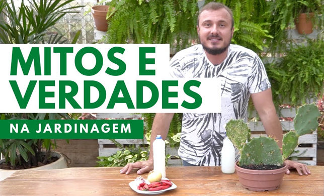 Mitos e Verdades que Existe no Mundo da Jardinagem